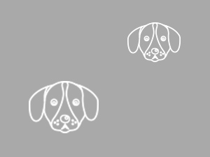 Annonce de vente d'animaux