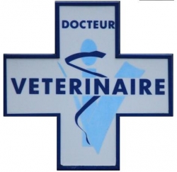 "Pénurie" de vétérinaires en campagne
