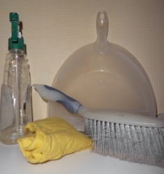 Aide ménagère à domicile : tout savoir sur l’emploi d’une aide ménagère à domicile