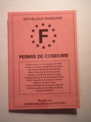 Permis B : Tout savoir sur le permis de conduire (2022) - Prix, aides